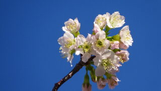 20231026132408_DSC04631-